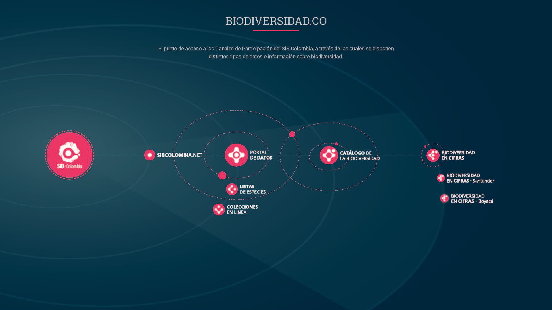 SIB Colombia, the network of platforms the system covers